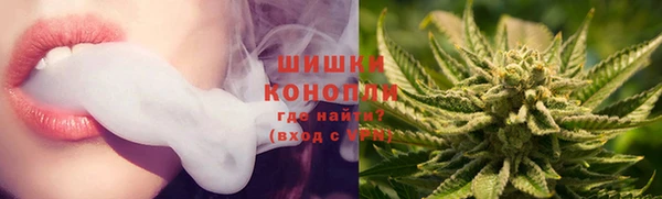 ПСИЛОЦИБИНОВЫЕ ГРИБЫ Лабытнанги