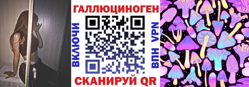 Галлюциногенные грибы мицелий  Лодейное Поле 